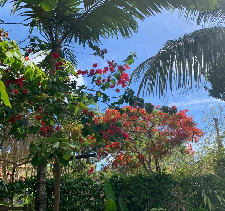 5056c959-87da-4f4b-a215-677569a7637d