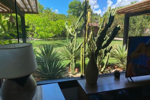 WhatsApp Image 2025-05-20 at 17.34.46